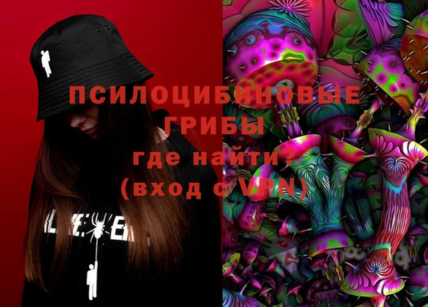 дмт Богородицк