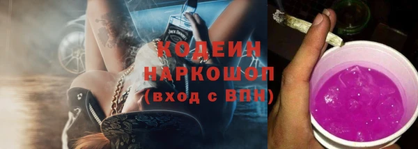 дмт Богородицк