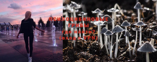 дмт Богородицк