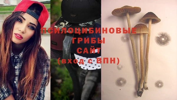 дмт Богородицк