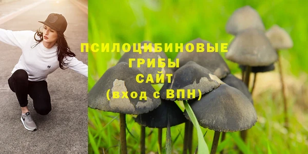 дмт Богородицк
