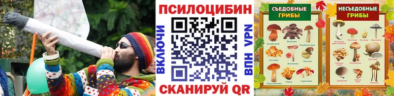 Псилоцибиновые грибы Magic Shrooms  где найти наркотики  Северодвинск 